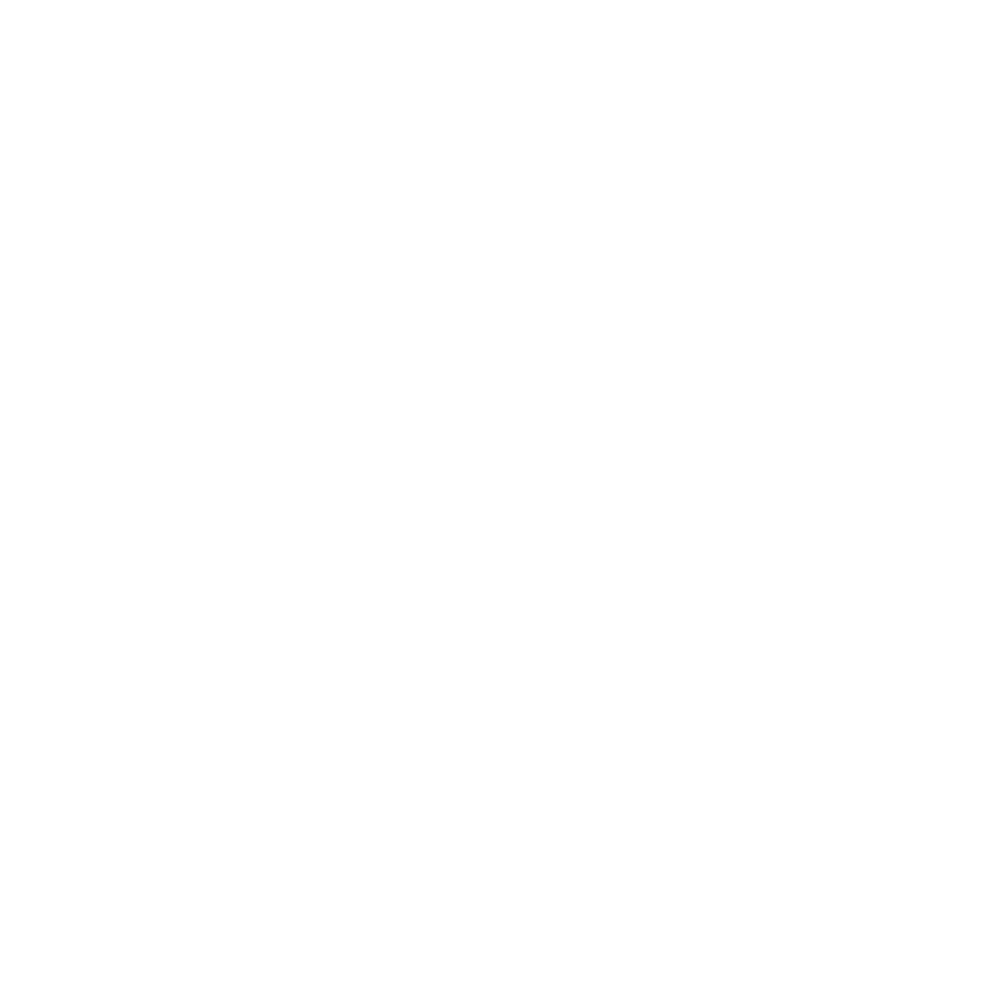 social icon